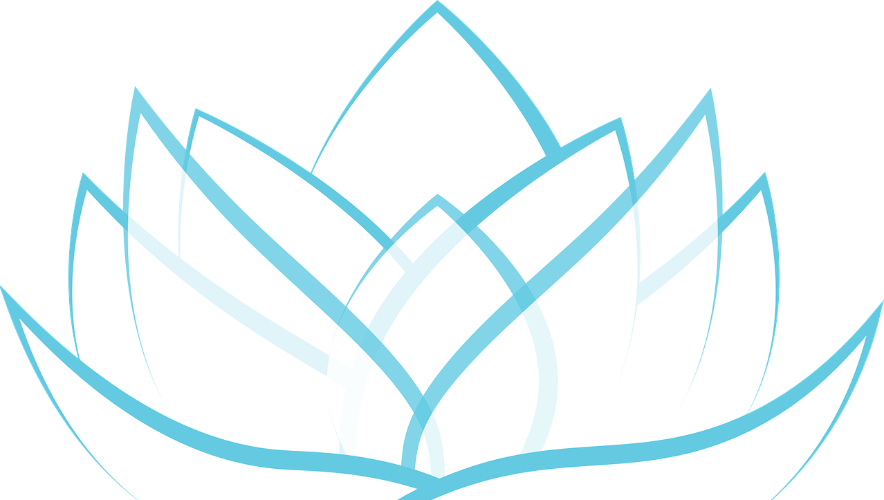 lotus, transparent, blossom-1889764.jpg